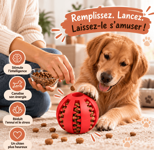 La Balle Croc™ de NidCozy