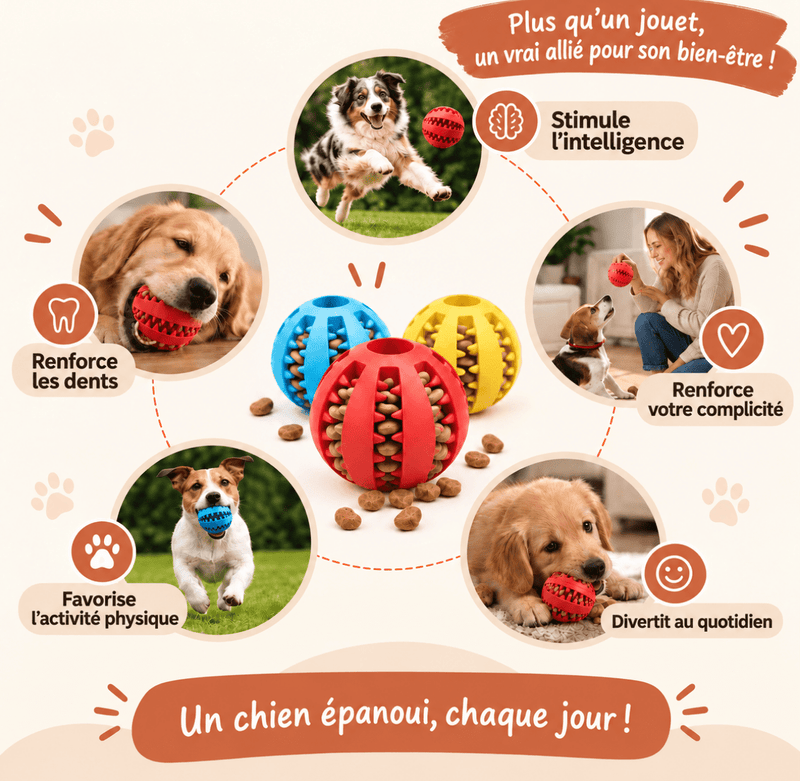 La Balle Croc™ de NidCozy
