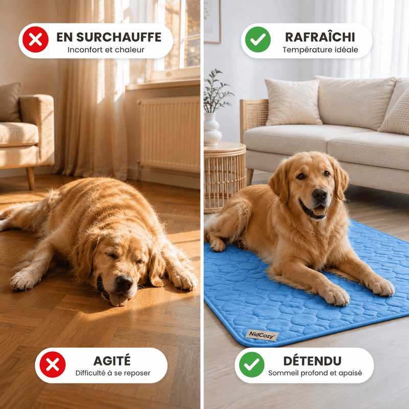 Le Tapis Fraîcheur™ de NidCozy