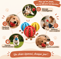 La Balle Croc™ de NidCozy
