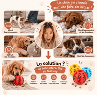 La Balle Croc™ de NidCozy