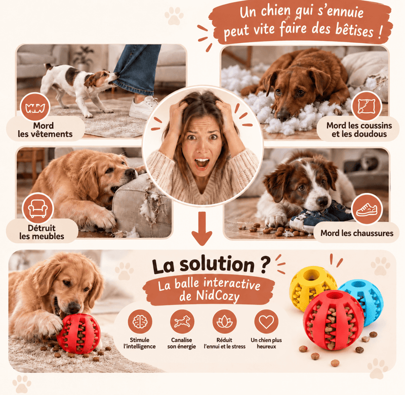 La Balle Croc™ de NidCozy