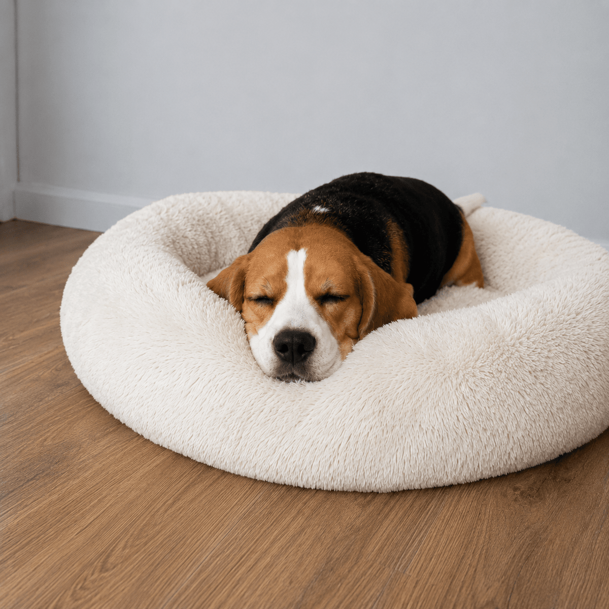 Chien reposant dans Le Câlin après avoir joué
